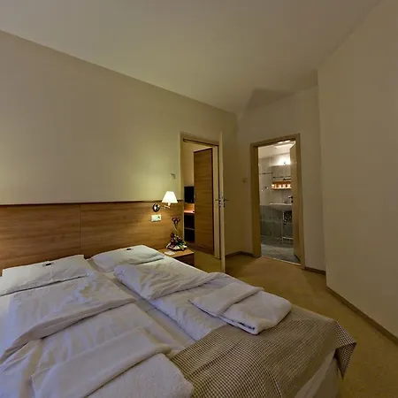 Civitas 4* Sopron